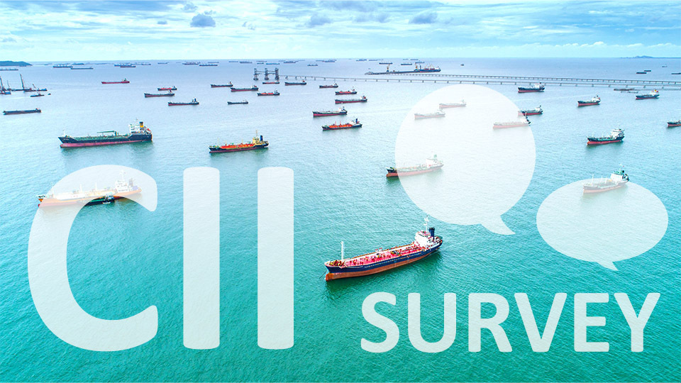 BIMCO's survey about CII