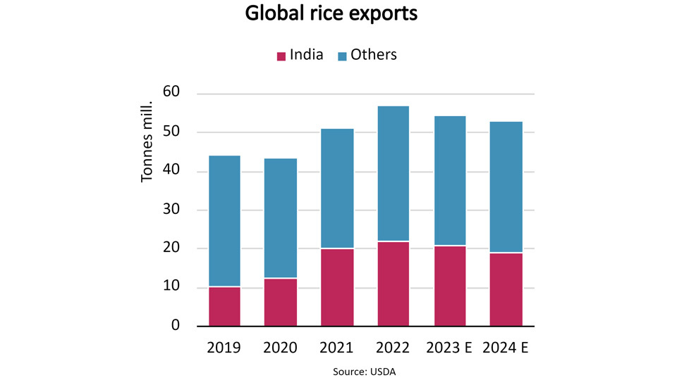 Global rice exports graph